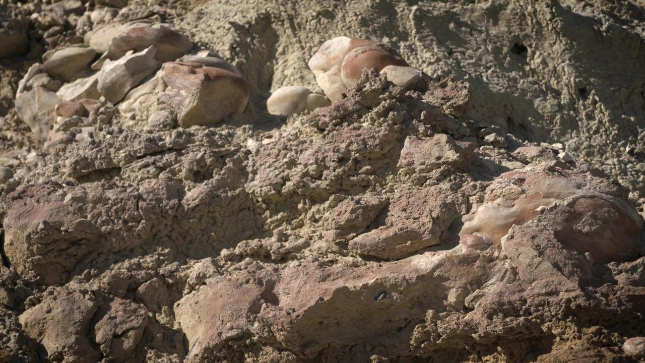 Made from fossilized microbes and sediment, these rounded rocks are stromatolites that were found in a dry lakebed during the field exercise. Scientists hope to find something similar in the dry lakebed Perseverance will be exploring on Mars. https://photojournal.jpl.nasa.gov/catalog/PIA23779