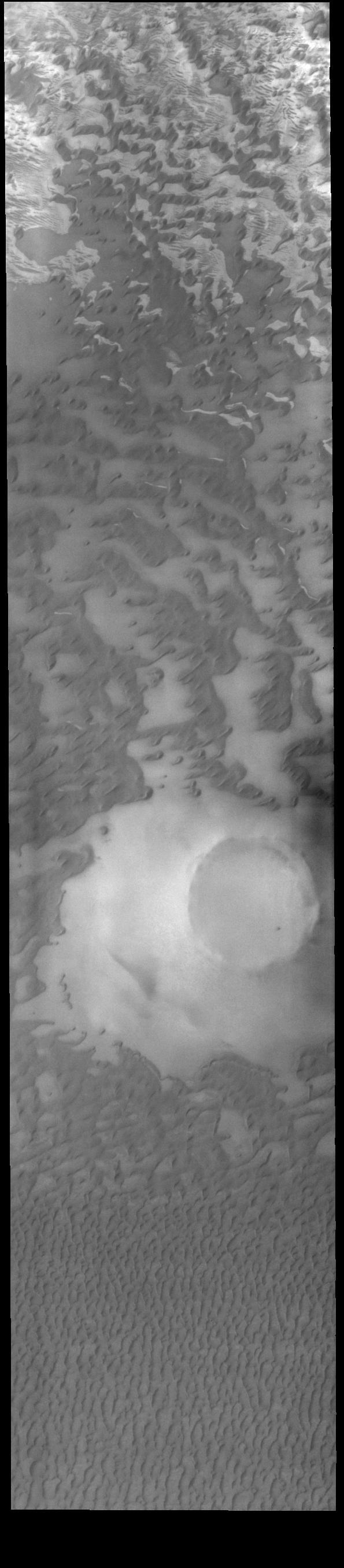 This VIS image shows part of Olympia Undae, a vast sand sea near the north pole. In regions with limited sand abundance, individual dunes form and the surface below the dunes are visible. This is the case at the top of the image. When sand abundances grow, the individual dunes coalesce into a sheet of sand hiding the underlaying surface. This is the case at the bottom of the image.  Orbit Number: 80393 Latitude: 80.0028 Longitude: 143.285 Instrument: VIS Captured: 2020-01-28 21:30  https://photojournal.jpl.nasa.gov/catalog/PIA23835