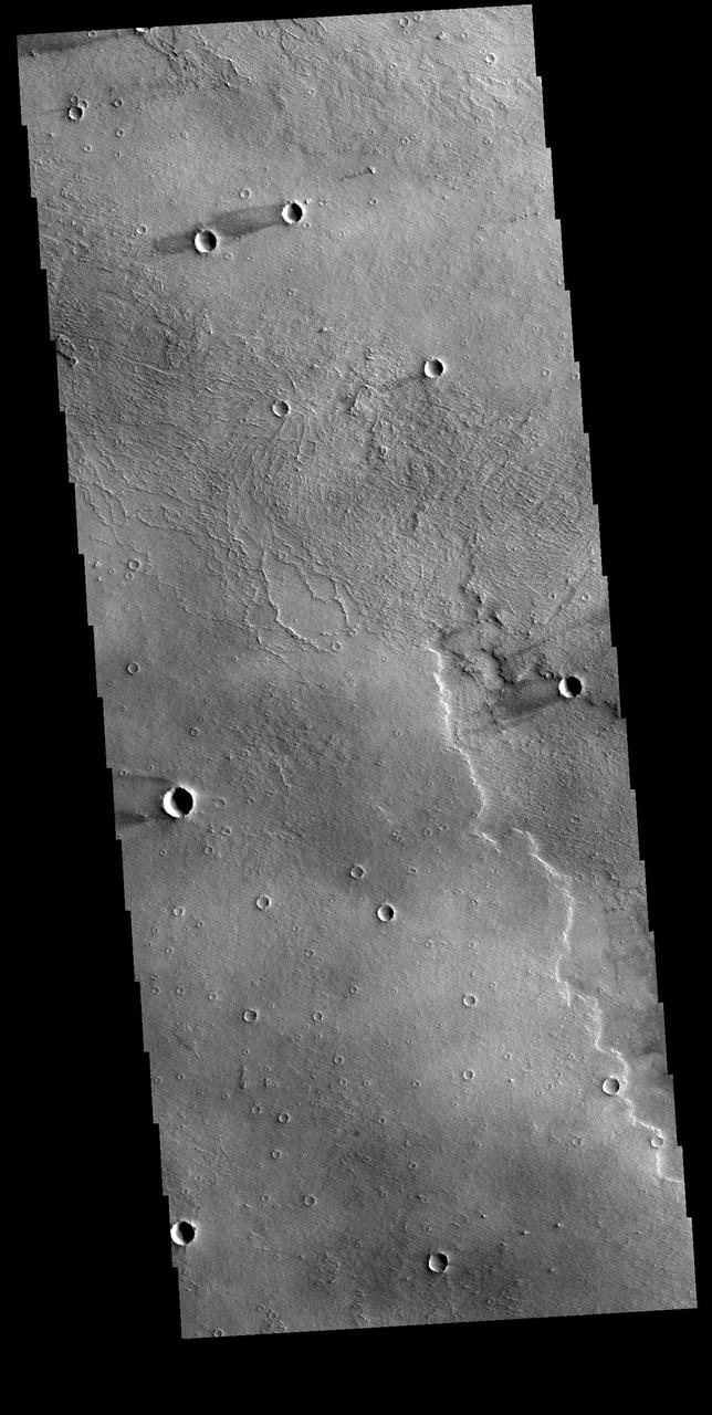 This VIS images shows several windstreaks located on the volcanic plains of Daedalia Planum. The dark and bright material forming "tails" behind the craters were created by surface winds funneled over and around the crater. The raised rims and bowls of impact craters causes a complex interaction such that the wind vortex in the lee of the crater can both scour away the surface dust and deposit it back in the center of the lee. The "tail" shows the direction of the wind, in this case blowing from the right to the left. Orbit Number: 80441 Latitude: -13.1034 Longitude: 223.8 Instrument: VIS Captured: 2020-02-01 19:50 https://photojournal.jpl.nasa.gov/catalog/PIA23838