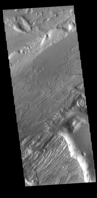 Today's VIS image shows a portion of Kasei Valles. Kasei Valles is one of the largest outflow channel systems on Mars, in places up to 482 km (300 miles) wide and 1580 km (982 miles) long. For comparison, the Grand Canyon in Arizona is is only 29 km (18 miles) at its widest and only 446 km (277 miles) long. Kasei Valles flows eastward through Lunae Planum and empties into Chryse Planitia. Orbit Number: 80538 Latitude: 24.6507 Longitude: 300.343 Instrument: VIS Captured: 2020-02-09 19:44 https://photojournal.jpl.nasa.gov/catalog/PIA23845