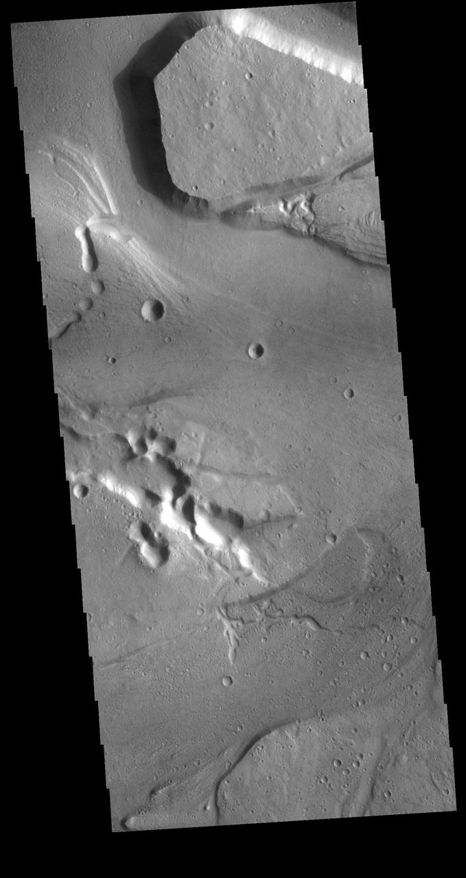 Today's VIS image shows a section of Kasei Valles. This complex channel arose in the Tharsis voclanic region and flowed eastward into Chryse Planitia. Chryse Planitia is a large circular basin, probably formed by a meteor impact. Orbit Number: 80675 Latitude: 26.039 Longitude: 307.827 Instrument: VIS Captured: 2020-02-21 02:28 https://photojournal.jpl.nasa.gov/catalog/PIA23858