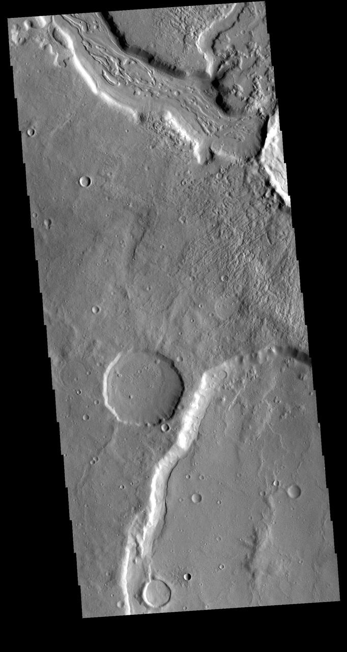 Today's VIS image shows a section of Mamers Valles. The channel is nearly 1000 km long (600 miles). Mamers Valles originates near Cerulli Crater in northern Arabia Terra, and after a short section near the crater where flow is to the south, flows northward to empty in Deuteronilus Mensae. The steep walls of Mamers Valles can reach heights of 1200 m (4000 feet). Orbit Number: 80685 Latitude: 31.7182 Longitude: 18.531 Instrument: VIS Captured: 2020-02-21 22:16 https://photojournal.jpl.nasa.gov/catalog/PIA23859