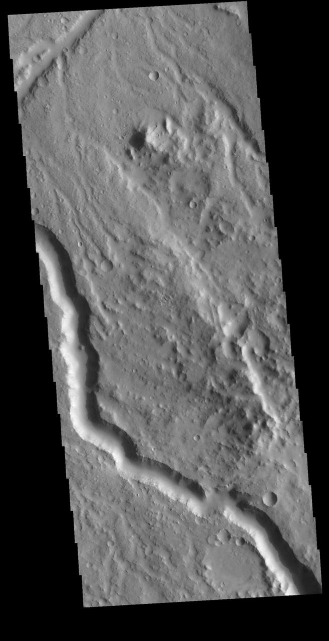 Today's VIS image shows a section of unnamed channel in Libya Montes. Libya Montes are south of Isidis Planitia, and are remnants of the crater rim created by the Isidis meteor impact.  Orbit Number: 80795 Latitude: 0.708331 Longitude: 89.3586 Instrument: VIS Captured: 2020-03-01 23:28  https://photojournal.jpl.nasa.gov/catalog/PIA23904