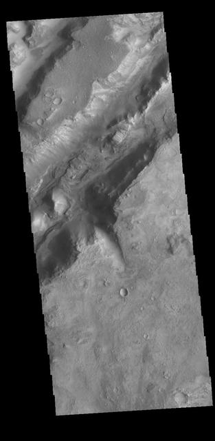 Today's VIS image shows some of the linear depressions that comprise Nili Fossae. Nili Fossae is the name of a collection of curved faults and down-dropped blocks of crust between the faults. The "fossae," or graben, lie northeast of the large volcano Syrtis Major and northwest of the ancient impact basin Isidis Planitia. The troughs, which can be almost 500 meters (1,600 feet) deep , make concentric curves that follow the outline of Isidis Planitia. The graben likely formed as the crust sagged under the weight of lava flows filling the Isidis Planitia impact basin. Orbit Number: 80970 Latitude: 22.4569 Longitude: 77.804 Instrument: VIS Captured: 2020-03-16 09:25 https://photojournal.jpl.nasa.gov/catalog/PIA23908