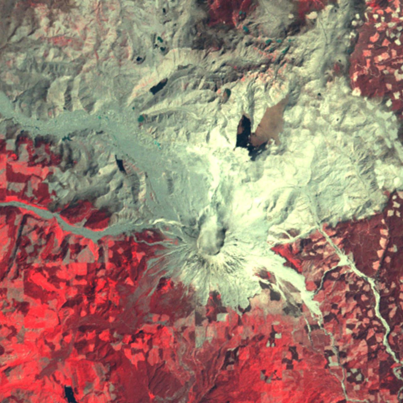 Mount St. Helens, Washington, erupted 40 years ago, on May 18, 1980. A massive debris avalanche, triggered by an earthquake of magnitude 5.1, caused a lateral eruption that reduced the elevation of the mountain's summit from 2,950 m to 2,549 m, leaving a 1.6 km wide horseshoe-shaped crater. The collapse of the northern flank resulted in massive volcanic mudflows. Since 1980, new lava built a dome in the crater, and occasional steam and ash plumes have been emitted. The Landsat MSS image was acquired July 31, 1980, and the ASTER image (Figure 1) on July 28, 2019. The images cover an area of 30 by 30 km, and are located at 46.2 degrees north, 122.2 degrees west.  https://photojournal.jpl.nasa.gov/catalog/PIA23913
