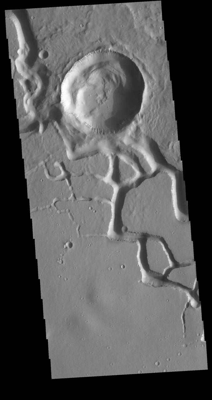 This VIS image is located in the central portion of Hephaestus Fossae. Hephaestus Fossae is a complex channel system in Utopia Planitia near Elysium Mons. It has been proposed that the channel formed by the release of melted subsurface ice during the impact event that created the crater in this image. Additionally, the nearby Elysium volcanic center created subsurface heating that may have played a part in creating both Hephaestus Fossae and Hebrus Valles to the north. Orbit Number: 81193 Latitude: 18.8168 Longitude: 124.985 Instrument: VIS Captured: 2020-04-03 18:04 https://photojournal.jpl.nasa.gov/catalog/PIA23938