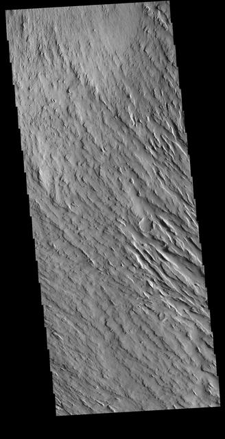 NASA image: Memnonia Sulci