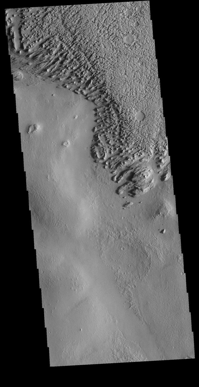Today's VIS image shows the surface of Zephyria Planum and the surrounding plains. Zephyria Planum is located south of Elysium Planitia. Long term winds have eroded the surface of Zephyria Planum (top of image) and the surrounding plains. Small, linear sand dunes are visible in the rest of the image.  Orbit Number: 81217 Latitude: -5.45343 Longitude: 155.853 Instrument: VIS Captured: 2020-04-05 17:22  https://photojournal.jpl.nasa.gov/catalog/PIA23945