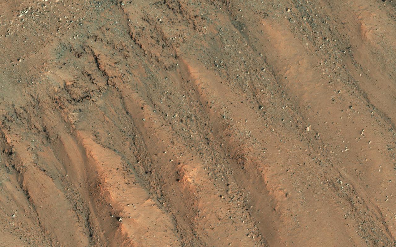 This image shows some faint traces of dark flows along the headwall of an impact crater. These are relics of seasonal recurring slope lineae (RSL) that formed on an equator-facing slope. They are not expected to be active yet, so we'll have to wait until later in the Martian spring for any changes. However, we like to monitor these sites as they progress through the seasons, and fully formed RSL have been identified at this site before. That's because RSL recur each Mars year at the same places, like this crater wall. RSL activity often happens at predicted temperatures approaching minus 20 degrees Celsius (or minus 4 degrees Fahrenheit). An intermittent flow of brines is possible but dry flow of granules is an alternative explanation to explain RSL formation. Because of this uncertainty, the science community is debating whether these regions should be regarded as "special regions" where rovers or others landers are restricted. https://photojournal.jpl.nasa.gov/catalog/PIA23951