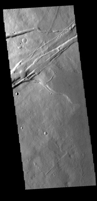 This VIS image shows part of Albor Fossae. These fossae (graben) are located on the southeastern flank of Albor Tholus, one of the volcanoes of the Elysium volcanic complex. Orbit Number: 81529 Latitude: 18.2534 Longitude: 151.75 Instrument: VIS Captured: 2020-05-01 10:03 https://photojournal.jpl.nasa.gov/catalog/PIA23991