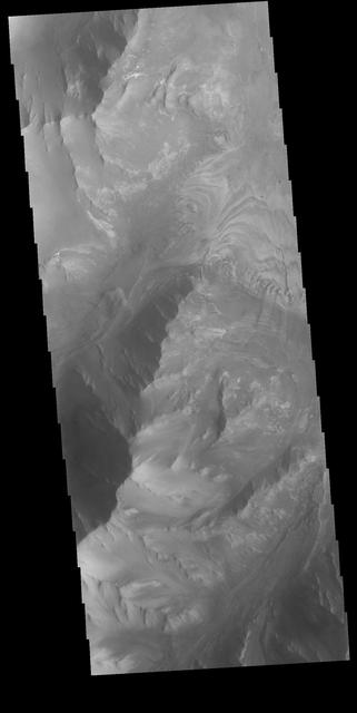NASA image: Melas Chasma