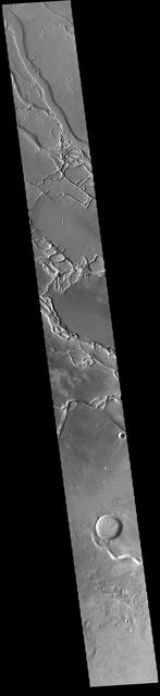 This VIS image shows many of the channel segments of Granicus Valles. Granicus Valles is a complex channel system located west of Elysium Mons. The system is approximately 750km long. It is likely that both water and lava played a part in creation of the feature. Orbit Number: 81542 Latitude: 26.6111 Longitude: 135.512 Instrument: VIS Captured: 2020-05-02 11:47 https://photojournal.jpl.nasa.gov/catalog/PIA23994