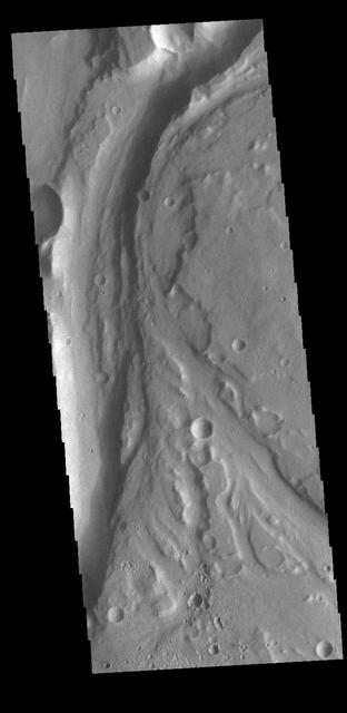 Today's VIS image shows a section of unnamed channel located at the margin where large northward flowing channels enter Chryse Planitia. Channels such as Tiu, Ares, and Shalbatana Valles arise from the Valles Marineris canyons to empty a thousand miles later into the Chryse basin. Ares Vallis is over 1600km long (1000 miles) and Tiu Vallis is over 1720km long (1069 miles). Orbit Number: 81548 Latitude: 10.9272 Longitude: 324.621 Instrument: VIS Captured: 2020-05-02 23:34 https://photojournal.jpl.nasa.gov/catalog/PIA23995