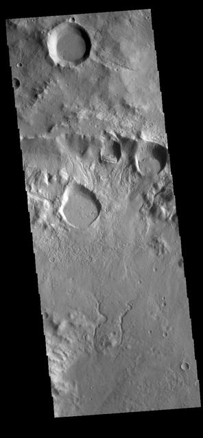 This VIS image shows part of the crater rim and floor of an unnamed crater located in Terra Sirenum on the north rim of Newton Crater. The rim of the crater is in the upper half of the image. Several rounded features are located near the top of the rim. Rather than being impact craters, these features are more likely formed by collapse of the crater rim. In this type of slope failure a block of material slides down a fracture leaving a scalloped shaped feature with a block of material along the lower edge of the slope. There are also several channels dissecting the rim. This crater has a central peak, just off the image at the bottom left corner. The channels in the bottom part of the image are flowing away from the peak.  Orbit Number: 81565 Latitude: -37.72 Longitude: 200.927 Instrument: VIS Captured: 2020-05-04 08:53  https://photojournal.jpl.nasa.gov/catalog/PIA23998