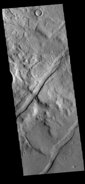The channel-like features in this VIS image are tectonic graben. These graben are called Icaria Fossae and are located in Terra Sirenum. Graben are created in regions of extensional tectonic stress, where the bedrock is faulted and pulled apart, allowing linear sections of the surface to drop downward along paired faults. Orbit Number: 81751 Latitude: -46.5369 Longitude: 236.614 Instrument: VIS Captured: 2020-05-19 16:24 https://photojournal.jpl.nasa.gov/catalog/PIA24010