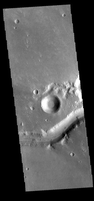 Today's VIS image shows a small section of Nirgal Valles. Located in Noachis Terra, Nirgal Valles is 610km long (379 miles).  Orbit Number: 81773 Latitude: -28.157 Longitude: 318.842 Instrument: VIS Captured: 2020-05-21 11:59  https://photojournal.jpl.nasa.gov/catalog/PIA24015