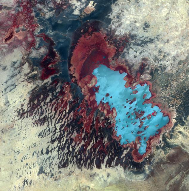NASA image: Lake Fitri, Chad
