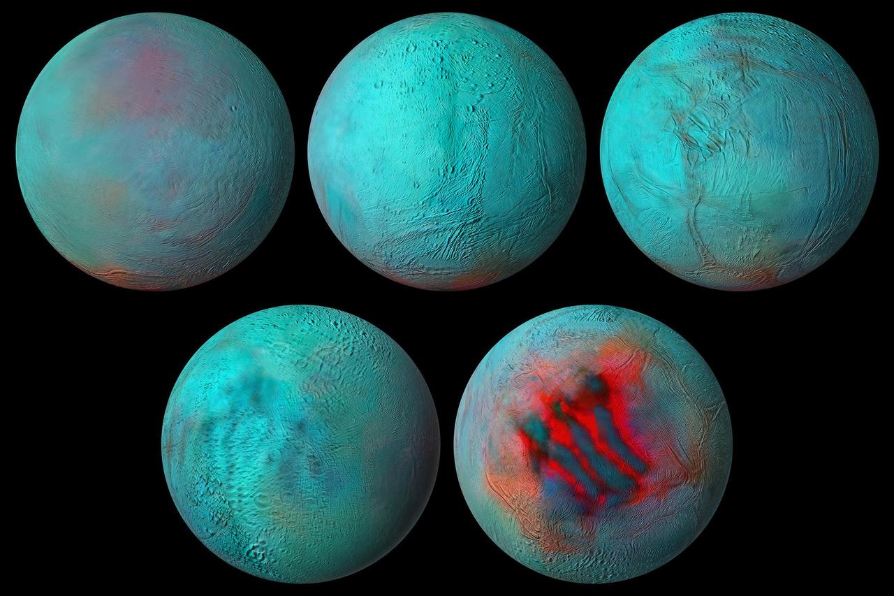 New composite images made from NASA's Cassini spacecraft data are the most detailed global infrared views ever produced of Saturn's moon Enceladus. And data used to build those images provides strong evidence that the northern hemisphere of the moon has been resurfaced with ice from its interior. During Cassini's 13-year exploration of the Saturn system, the spacecraft's Visible and Infrared Mapping Spectrometer (VIMS) collected light — both visible to the human eye and infrared light — reflected off the planet, its rings, and its 10 major icy moons. VIMS then separated light into its various wavelengths, information that tells scientists more about the makeup of the material reflecting it. Combined with detailed images captured by Cassini's Imaging Science Subsystem, the VIMS data was used to make the new global spectral map of Enceladus. It shows that infrared signals correlate with the geologic activity known to be ongoing at the south pole, where plumes of ice grains and vapor shoot out from an ocean that lies under the icy crust. The so-called "tiger stripe" gashes, where the plumes originate, are seen here. But some of the same infrared features are also seen in the northern hemisphere. That tells scientists not just that the northern area is covered with fresh ice but that the same kind of geologic activity, a resurfacing of the landscape, has occurred in both hemispheres. The resurfacing in the north may be due to icy jets, or a more gradual movement of ice through fractures in the crust, from the subsurface ocean to the surface. Movie available at https://photojournal.jpl.nasa.gov/catalog/PIA24023