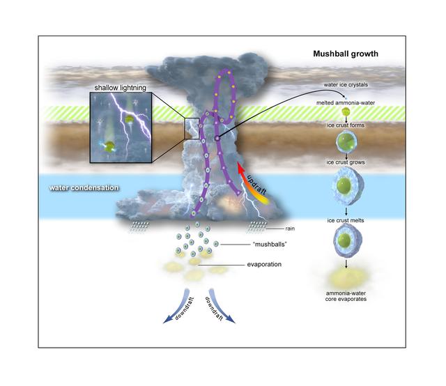 A Mushball and Shallow-Lightning Factory (Illustration)