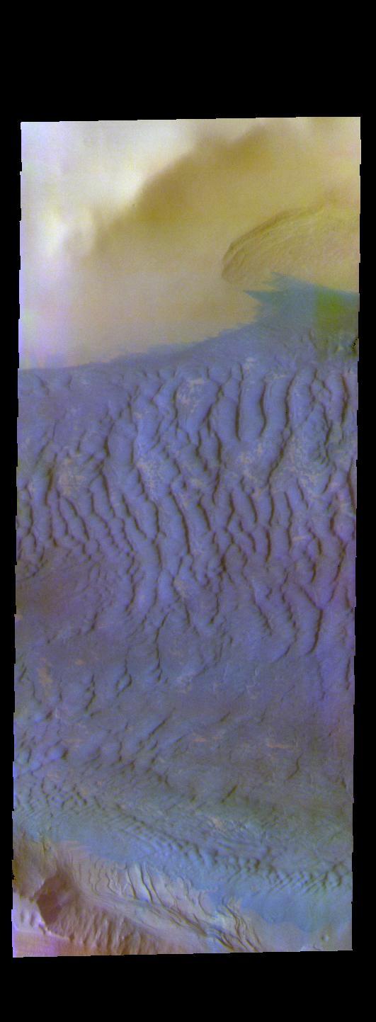 NASA image: Dunes Near the South Pole - False Color