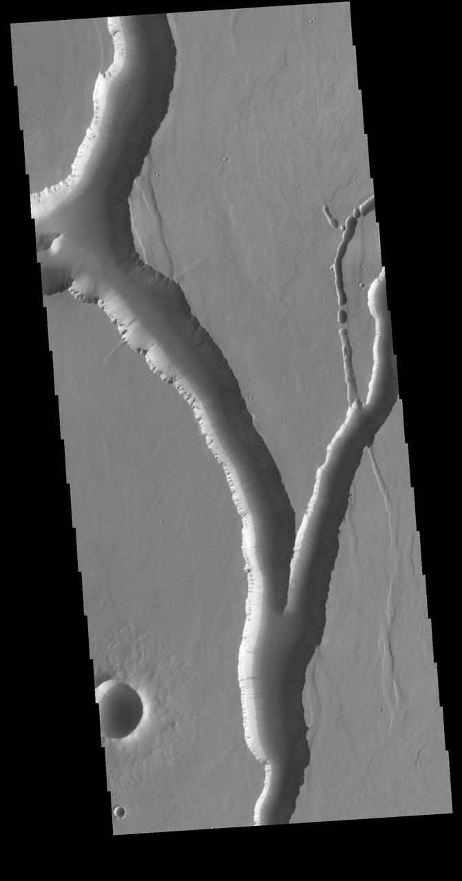 Olympica Fossae is a complex channel located on the volcanic plains between Alba Mons and Olympus Mons. The sinuosity of the large channel in the middle of the image indicates that this is a channel created by liquid flow. In this case the location and other surface features point to lava rather than water as the liquid. Subtle dark slope streaks are visible both in the channel walls and in the small crater at the bottom of the image. These features are thought to form by downslope movement of material which either reveals the darker rock beneath the dust coating, or creates the darker surface by flow of a volatile just beneath the dust coating. Orbit Number: 81875 Latitude: 25.8728 Longitude: 248.783 Instrument: VIS Captured: 2020-05-29 21:51 https://photojournal.jpl.nasa.gov/catalog/PIA24084