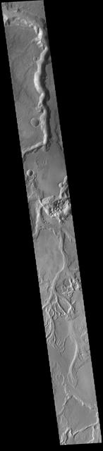 The extensive channel system seen is this VIS image include parts of both Sabis Vallis and Minio Vallis. The valles are just two of many channels that flow northward thru Terra Sirenum to empty into Amazonis Planitia. Sabis Vallis is 206km long (128 miles) and Minio Vallis is 88km long (55 miles). Both channels are located west of the much larger Mangala Valles.  Orbit Number: 81914 Latitude: -5.1073 Longitude: 207.895 Instrument: VIS Captured: 2020-06-02 02:44  https://photojournal.jpl.nasa.gov/catalog/PIA24111