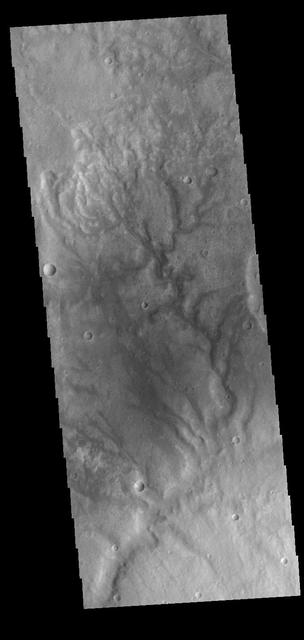 This VIS image shows several channels located in Terra Sabaea. The flow was from the top of the image towards the bottom. These channels are located north of Hellas Planum and are following the topographic gradient down into the Hellas basin. None of these channels have been named.  Orbit Number: 81919 Latitude: -17.5776 Longitude: 65.3522 Instrument: VIS Captured: 2020-06-02 12:33  https://photojournal.jpl.nasa.gov/catalog/PIA24112