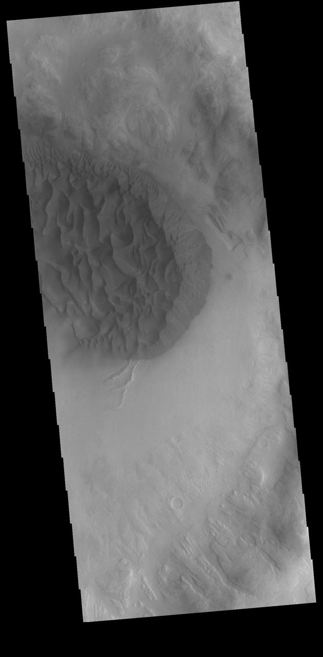 This VIS image shows a sand sheet with surface dune forms on the floor of an unnamed crater in Noachis Terra. Orbit Number: 82070 Latitude: -48.8906 Longitude: 34.114 Instrument: VIS Captured: 2020-06-14 22:47 https://photojournal.jpl.nasa.gov/catalog/PIA24121