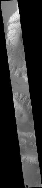Today's VIS image shows parts of Ophir Chasma (top of image) and Candor Chasma (bottom of image). Both are part of Valles Marineris. Candor Chasma is approximately 810 km long (503 miles) and is divided into two regions — eastern and western Candor. This image is of western Candor Chasma. The floor of Candor Chasma includes a variety of landforms, including layered deposits, dunes, landslide deposits and steep sided cliffs and mesas. Many forms of erosion have shaped Candor Chasma. There is evidence of wind and water erosion, as well as significant gravity driven mass wasting (landslides). Ophir Chasma is approximately 317km long (197 miles). This image shows the western end of Ophir Chasma. A landslide is visible in Ophir Chasma. Orbit Number: 82086 Latitude: -4.67658 Longitude: 285.773 Instrument: VIS Captured: 2020-06-16 06:38 https://photojournal.jpl.nasa.gov/catalog/PIA24123