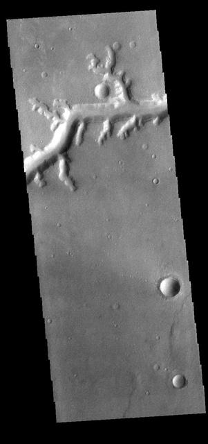 Today's VIS image shows a small section of Nirgal Valles. Located in Noachis Terra, Nirgal Valles is 610km long (379 miles).  Orbit Number: 82110 Latitude: -27.3723 Longitude: 316.499 Instrument: VIS Captured: 2020-06-18 05:57  https://photojournal.jpl.nasa.gov/catalog/PIA24125