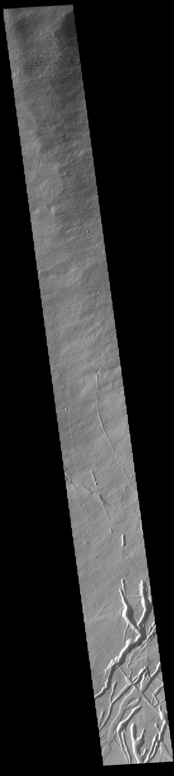 Today's image shows the southwestern flank of Ascraeus Mons. Ascraeus is the northenmost of the three aligned Tharsis volcanoes and is the tallest at 18,225meters (59,793ft).  Orbit Number: 82112 Latitude: 9.73717 Longitude: 253.773 Instrument: VIS Captured: 2020-06-18 10:06  https://photojournal.jpl.nasa.gov/catalog/PIA24141