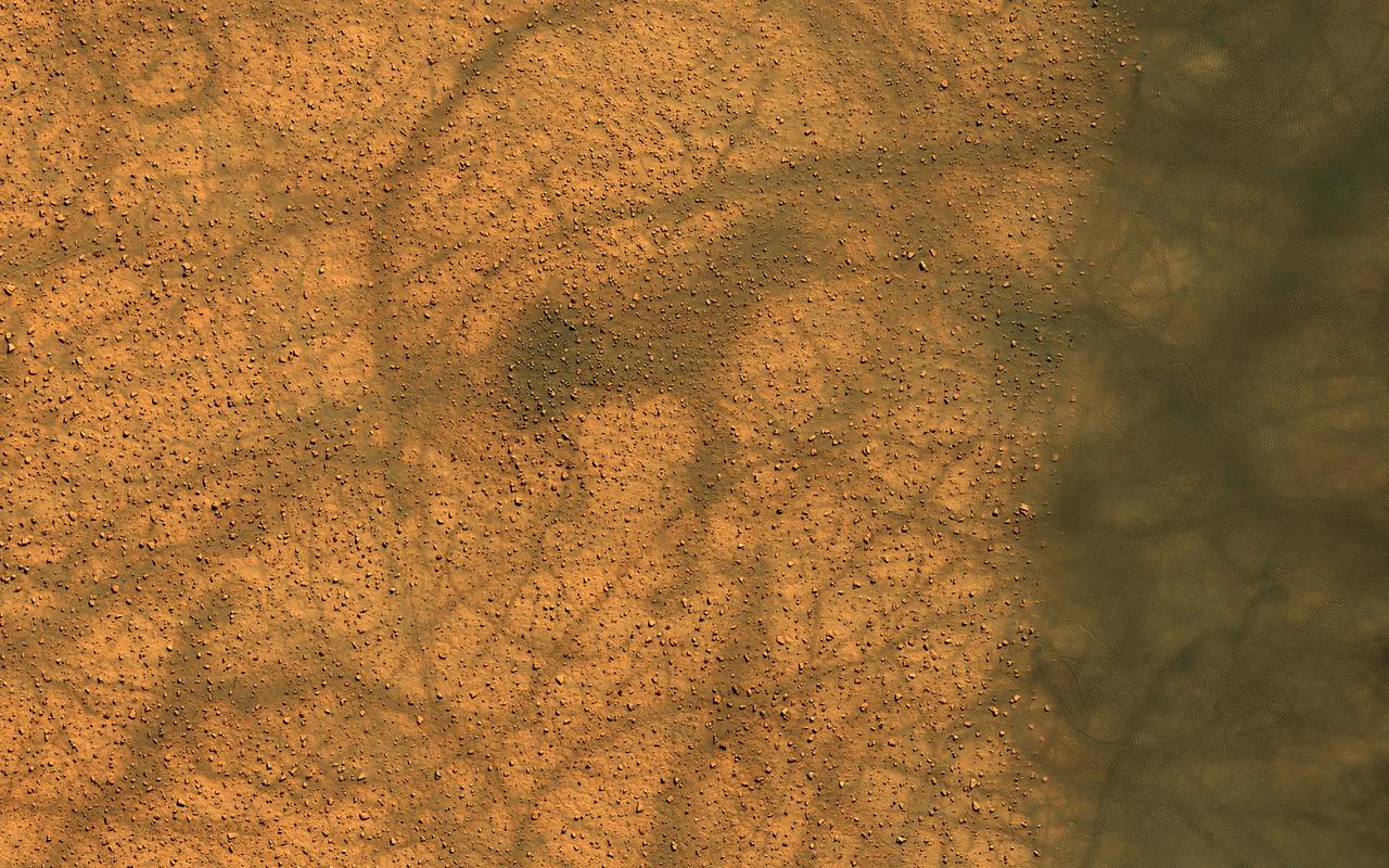 Dune fields in the high southern latitudes of Mars tell a mostly similar story during local summer. The dark dunes grow warmer than the surrounding bright plains because they absorb more sunlight.  Dust devils form over the warm dunes but then dance out over the plains, spinning and performing pirouettes and leaving conspicuous dark tracks as bright dust is lifted from the surface. Loops in the tracks can often be used to discern the direction traveled by the dust devils, where in some cases, one track clearly overprints the other.  https://photojournal.jpl.nasa.gov/catalog/PIA24148