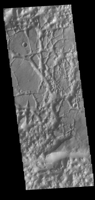 In planetary nomenclature, the descriptor term chaos means "distinctive area of broken terrain". The general morphology of chaos is steep-sided mesas in close proximity. This VIS image shows a region of chaos where the isolated mesas are still very large, as well as other locations that are already reduced by erosion into small mesas. This image is located south of Eos Chasma. Orbit Number: 82896 Latitude: -16.1936 Longitude: 319.319 Instrument: VIS Captured: 2020-08-21 23:16 https://photojournal.jpl.nasa.gov/catalog/PIA24181