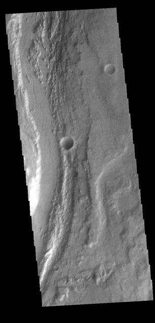Today's VIS image shows a small section of Mangala Valles. Mangala Valles is a complex channel more than 900km long (560 miles). The channel system starts near Mangala Fossae, a large tectonic feature that intersects the volcanic plains of Daedalia Planum. Like other channels in the region, Mangala Valles flows northward, eventually emptying into southern Amazonis Planitia.  Orbit Number: 83062 Latitude: -6.77734 Longitude: 209.123 Instrument: VIS Captured: 2020-09-04 15:21  https://photojournal.jpl.nasa.gov/catalog/PIA24187