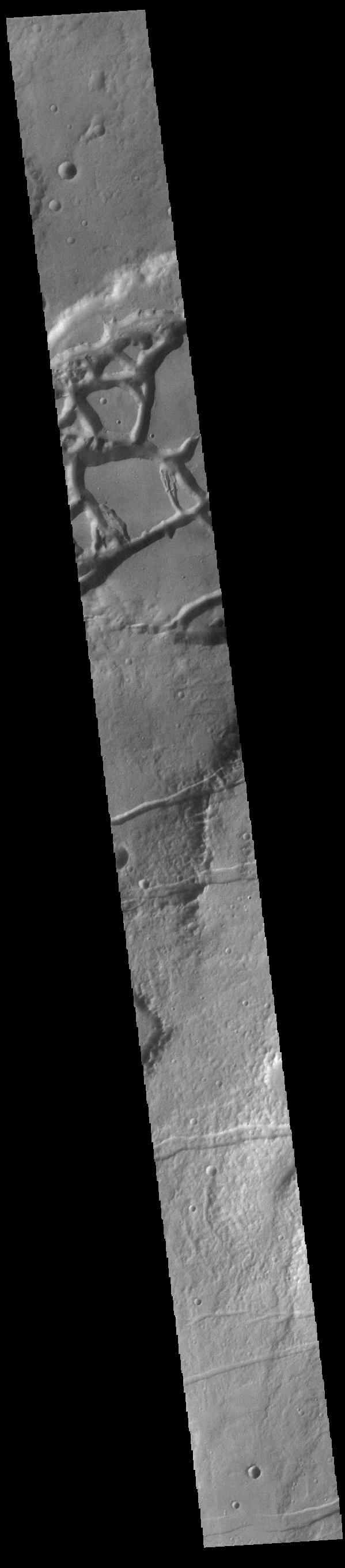 This VIS image shows several linear depressions called graben. Graben are formed due to extensional tectonic stresses, creating linear faults that allow subsidence of blocks of material between paired faults. At the top of the image several graben of Mangala Fossae intersect an impact crater. The other graben in the rest of the image are part of Memnonia Fossae. Both sets of fossae cross between Terra Sirenum and Daedalia Planum.  Orbit Number: 83137 Latitude: -19.9645 Longitude: 207.232 Instrument: VIS Captured: 2020-09-10 19:29  https://photojournal.jpl.nasa.gov/catalog/PIA24190