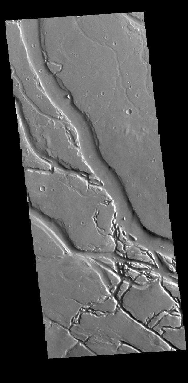 This VIS image shows many of the channel segments of Granicus Valles. Granicus Valles is a complex channel system located west of Elysium Mons. The system is approximately 750km long. It is likely that both water and lava played a part in creation of the feature. Orbit Number: 85972 Latitude: 27.7058 Longitude: 135.363 Instrument: VIS Captured: 2021-05-02 05:58 https://photojournal.jpl.nasa.gov/catalog/PIA24215