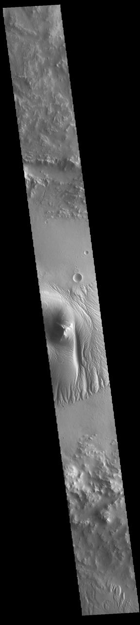 Today's image shows a cross section of Nicholson Crater. The central peak of this crater is surrounded by a layered deposit that rises 3.5km (2 miles) above the crater floor. This central mound of material has undergone extensive wind erosion, with yardangs visible on the on most of the mound. These features are created by long term winds scouring a poor cemented surface material into linear ridges and valleys. The direction of the ridge/valley is aligned with the wind direction. The dominant wind direction in this region of the mound is along a north/south trend. However, other wind directions can occur within a localized region, as evidenced by the smaller yardangs near the north side of the mound. Located on the southern edge of Amazonis Planitia, Nicholson Crater is 102km (63 miles) in diameter.  Orbit Number: 85995 Latitude: 0.290091 Longitude: 195.593 Instrument: VIS Captured: 2021-05-04 03:15  https://photojournal.jpl.nasa.gov/catalog/PIA24218