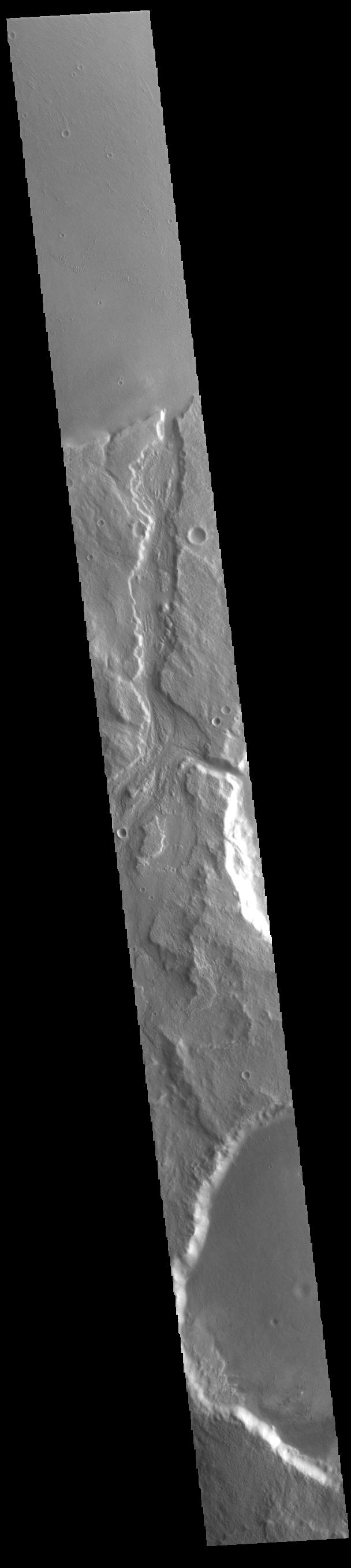 Today's VIS image shows Padus Vallis (middle of image). Located east of Mangala Valles, Padus Vallis is just one of the many small channels that empty into the Medusa Fossae Formation region. Padus Vallis is 57 km (35 miles) long. Orbit Number: 86007 Latitude: -4.81752 Longitude: 210.081 Instrument: VIS Captured: 2021-05-05 02:57 https://photojournal.jpl.nasa.gov/catalog/PIA24220