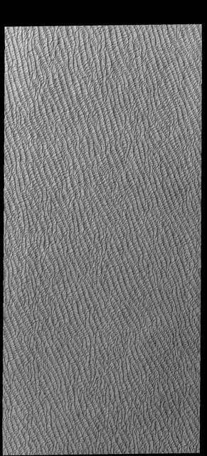 NASA image: Olympia Undae