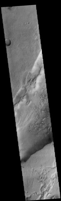 Today's VIS image shows a small portion of Dao Vallis. Located south of Hadriacus Mons (a volcano), this channel is approximately 1200km (750 miles) long. It has been proposed that heating of the region due to volcanic activity melted subsurface ice which was released to the surface to carve the channel. Dao Vallis empties into the Hellas Planitia basin.  Orbit Number: 83191 Latitude: -34.7957 Longitude: 91.6287 Instrument: VIS Captured: 2020-09-15 06:07  https://photojournal.jpl.nasa.gov/catalog/PIA24241