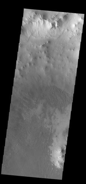 Today's VIS image shows part of Ross Crater. Located in Aonia Terra, the impact crater is 82 km (51 miles) in diameter. In addition to the dunes on the crater floor, the crater rim is dissected with numerous gullies, one of which is visible at top of the image.  Orbit Number: 83304 Latitude: -57.1209 Longitude: 251.822 Instrument: VIS Captured: 2020-09-24 12:56  https://photojournal.jpl.nasa.gov/catalog/PIA24254