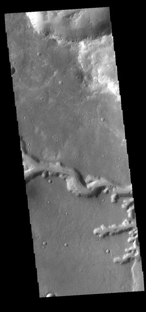 NASA image: Nirgal Vallis