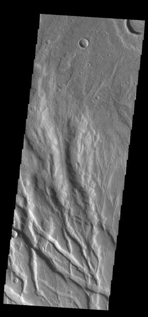 Today's VIS image shows part of Claritas Fossae. These graben filled highlands are bounded by Solis Planum to the northeast and Icaria Planum to the southwest. The linear features (fossae) are graben, a tectonic feature created when blocks of material subside between paired faults. Extensional tectonic forces are responsible for graben formation. While close to the Tharsis region, it is thought that Claritas Fossae formed prior to the large lava flows located north of this image. Orbit Number: 83503 Latitude: -40.434 Longitude: 274.364 Instrument: VIS Captured: 2020-10-10 22:06 https://photojournal.jpl.nasa.gov/catalog/PIA24259
