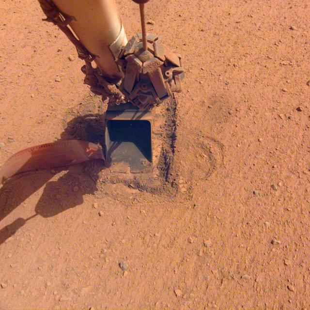 The "mole," a heat probe that traveled to Mars aboard NASA's InSight lander, as it looked after hammering on Saturday, Jan. 9, 2021, the 754th Martian day, or sol, of the mission. Since Feb. 28, 2019, the probe has been attempting to burrow into the Martian surface to take the planet's internal temperature. But the sand's unexpected tendency to clump deprived the spike-like mole of the friction it needs to hammer itself to a sufficient depth. On Jan. 9, with no progress, the team called an end to their efforts.  Movie available at https://photojournal.jpl.nasa.gov/catalog/PIA24263