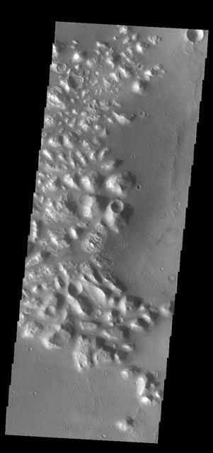 Today's VIS image shows part of Atlantis Chaos. Chaos terrain is typified by regions of blocky, often steep sided, mesas interspersed with deep valleys. With time and erosion the valleys widen and the mesas become smaller. The mesas in this image appear brighter than the surrounding lowlands, likely due to relatively less dust cover. Atlantis Chaos is located in Terra Sirenum.  Orbit Number: 83606 Latitude: -34.6882 Longitude: 183.955 Instrument: VIS Captured: 2020-10-19 09:36  https://photojournal.jpl.nasa.gov/catalog/PIA24277