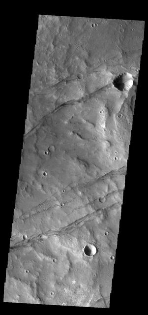 The linear depression in this VIS image is part of Sirenum Fossae. Depressions of this type are called graben, which form by the down drop of material between two parallel faults. The faults are caused by tectonic stresses in the region. The Sirenum Fossae graben are 2735km (1700 miles) long. Orbit Number: 83743 Latitude: -37.2437 Longitude: 191.251 Instrument: VIS Captured: 2020-10-30 16:21 https://photojournal.jpl.nasa.gov/catalog/PIA24280