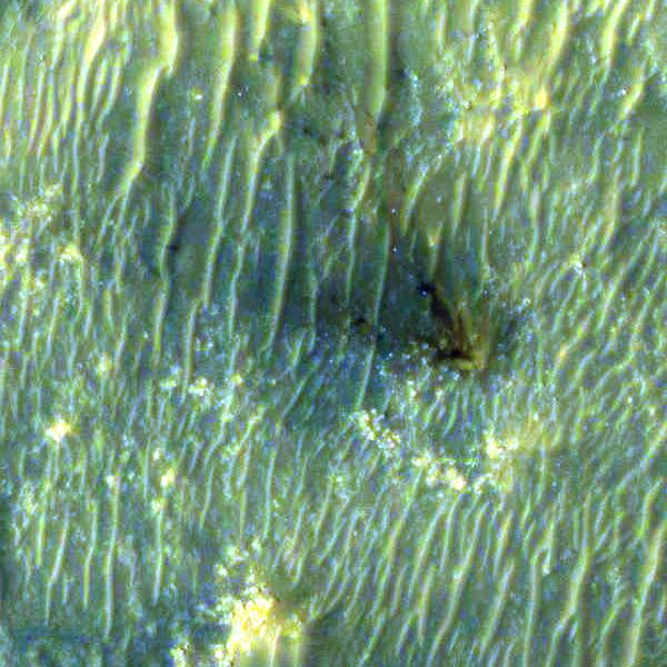 The High Resolution Imaging Experiment (HiRISE) camera aboard NASA's Mars Reconnaissance Orbiter (MRO) was able to capture this image of the final location of the descent stage that helped fly NASA's Perseverance rover down to the surface of Mars. The image was taken on Feb. 19, 2021.  It is a close-up version of a larger image showing several parts of the Mars 2020 mission landing system that got the rover safely on the ground.  These close-ups of Mars 2020 hardware were processed to make them easier to see. The insets showing the descent stage and parachute have had color added and include data from the infrared band of light.  A key objective for Perseverance's mission on Mars is astrobiology, including the search for signs of ancient microbial life. The rover will characterize the planet's geology and past climate, pave the way for human exploration of the Red Planet, and be the first mission to collect and cache Martian rock and regolith (broken rock and dust).  Subsequent NASA missions, in cooperation with ESA (European Space Agency), would send spacecraft to Mars to collect these sealed samples from the surface and return them to Earth for in-depth analysis.  The Mars 2020 Perseverance mission is part of NASA's Moon to Mars exploration approach, which includes Artemis missions to the Moon that will help prepare for human exploration of the Red Planet.  https://photojournal.jpl.nasa.gov/catalog/PIA24335
