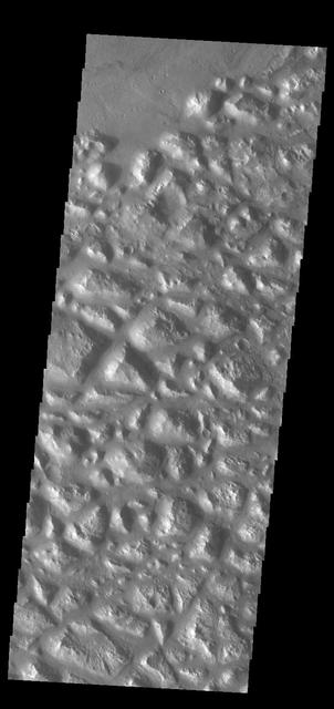 Today's VIS image shows part of Atlantis Chaos. Chaos terrain is typified by regions of blocky, often steep sided, mesas interspersed with deep valleys. With time and erosion the valleys widen and the mesas become smaller. The mesas in this image appear brighter than the surrounding lowlands, likely due to relatively less dust cover. Atlantis Chaos is located in Terra Sirenum.  Orbit Number: 83918 Latitude: -34.684 Longitude: 183.217 Instrument: VIS Captured: 2020-11-14 02:09  https://photojournal.jpl.nasa.gov/catalog/PIA24352