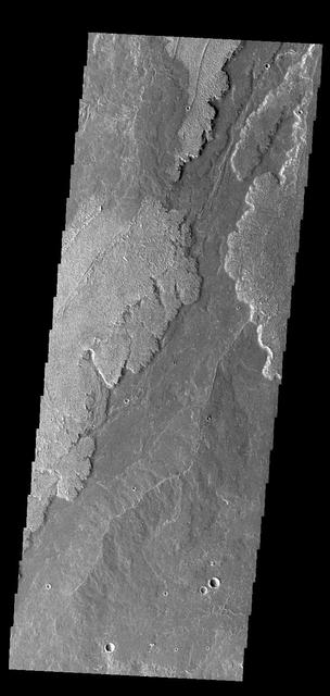 Today's VIS image shows a small portion of the immense lava flows that originated from Arsia Mons. Arsia Mons is the southernmost of the three large aligned volcanoes in the Tharsis region. Arsia Mons' last eruption was 10s of million years ago. The different surface textures are created by differences in the lava viscosity and cooling rates. The lobate margins of each flow can be traced back to the start of each flow — or to the point where they are covered by younger flows. Flows in Daedalia Planum can be as long as 180 km (111 miles). For comparison the longest Hawaiian lava flow is only 51 km (about 31 miles) long. The total area of Daedalia Planum is 2.9 million square km — more than four times the size of Texas. Orbit Number: 83966 Latitude: -22.0287 Longitude: 240.3 Instrument: VIS Captured: 2020-11-18 00:56 https://photojournal.jpl.nasa.gov/catalog/PIA24354