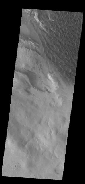 The dunes seen in this VIS image are located on the complex floor of Rabe Crater. The sand is likely derived by erosion into the deposit that fills most of the crater floor, creating a pit which hosts the dunes. Rabe Crater is located in Noachis Terra and is 108km in diameter (67 miles). Orbit Number: 84285 Latitude: -44.1162 Longitude: 34.3444 Instrument: VIS Captured: 2020-12-14 07:25 https://photojournal.jpl.nasa.gov/catalog/PIA24360